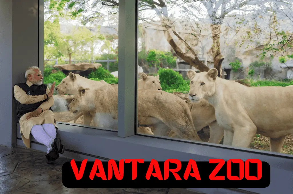 Vantara Jaamnagar Zoo